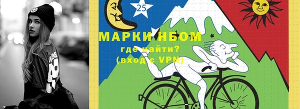 мет Алексин