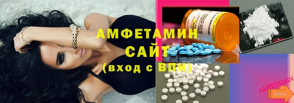 индика Алзамай
