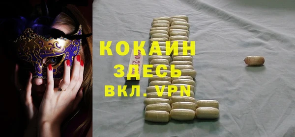 мет Алексин