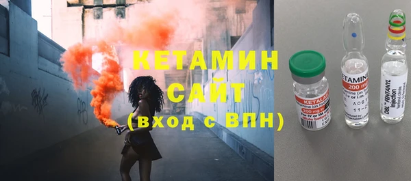 мет Алексин