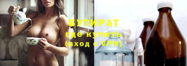 индика Алзамай