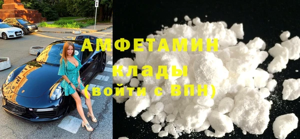 мет Алексин