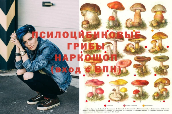 индика Алзамай