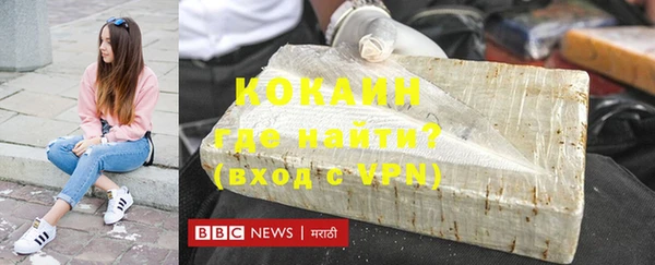 индика Алзамай